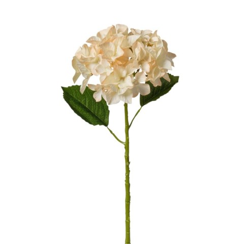 RAMO DI ORTENSIA BEIGE CM57